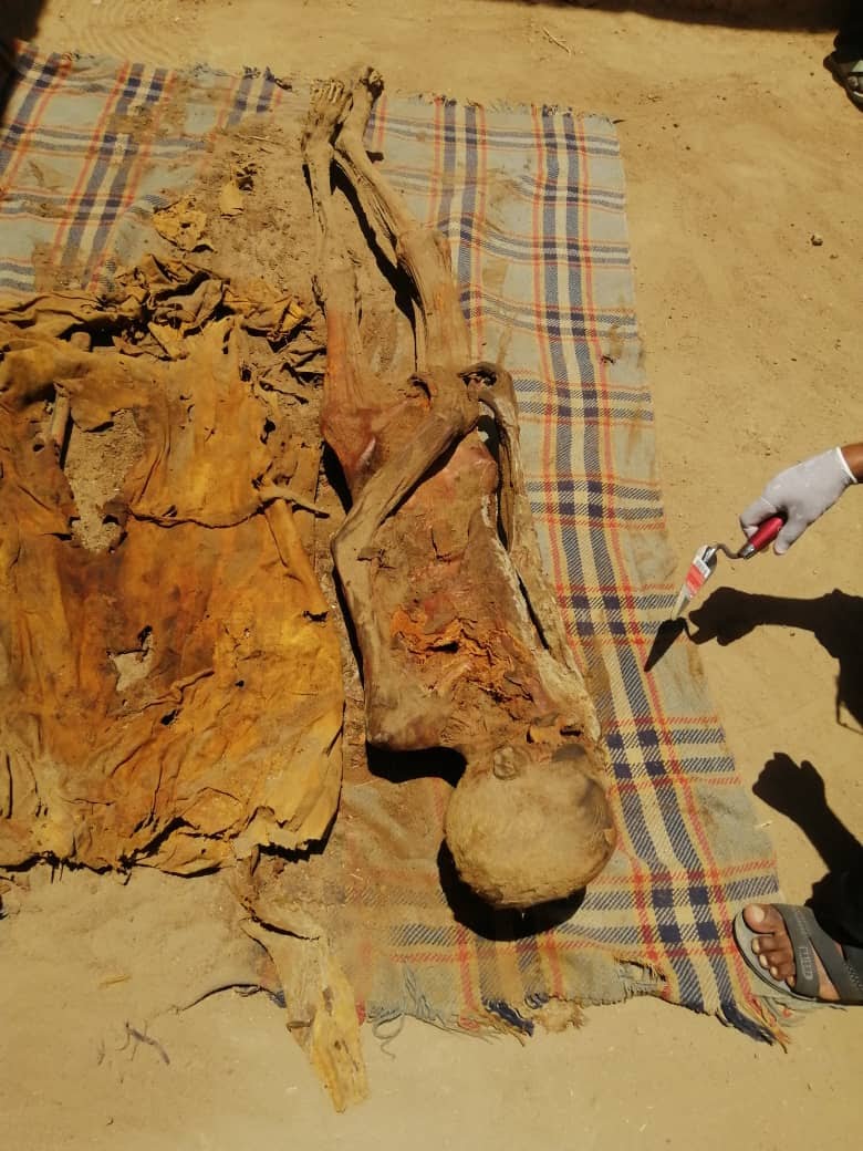 مواطن يعثر علي جثمان بجزيرة “صاي” الأثرية..