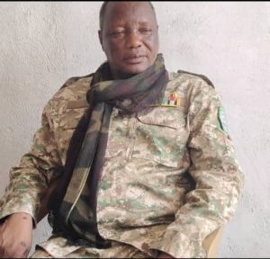 بيان من حركة جيش تحرير السودان عن زيارة شاكوش لولاية النيل الأبيض 